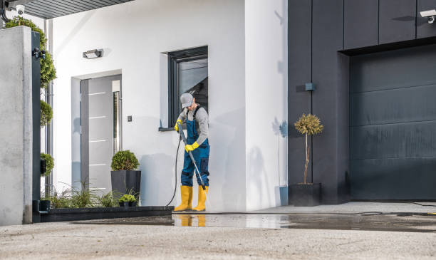 Best Fence Cleaning  in Rochester Hills, MI
